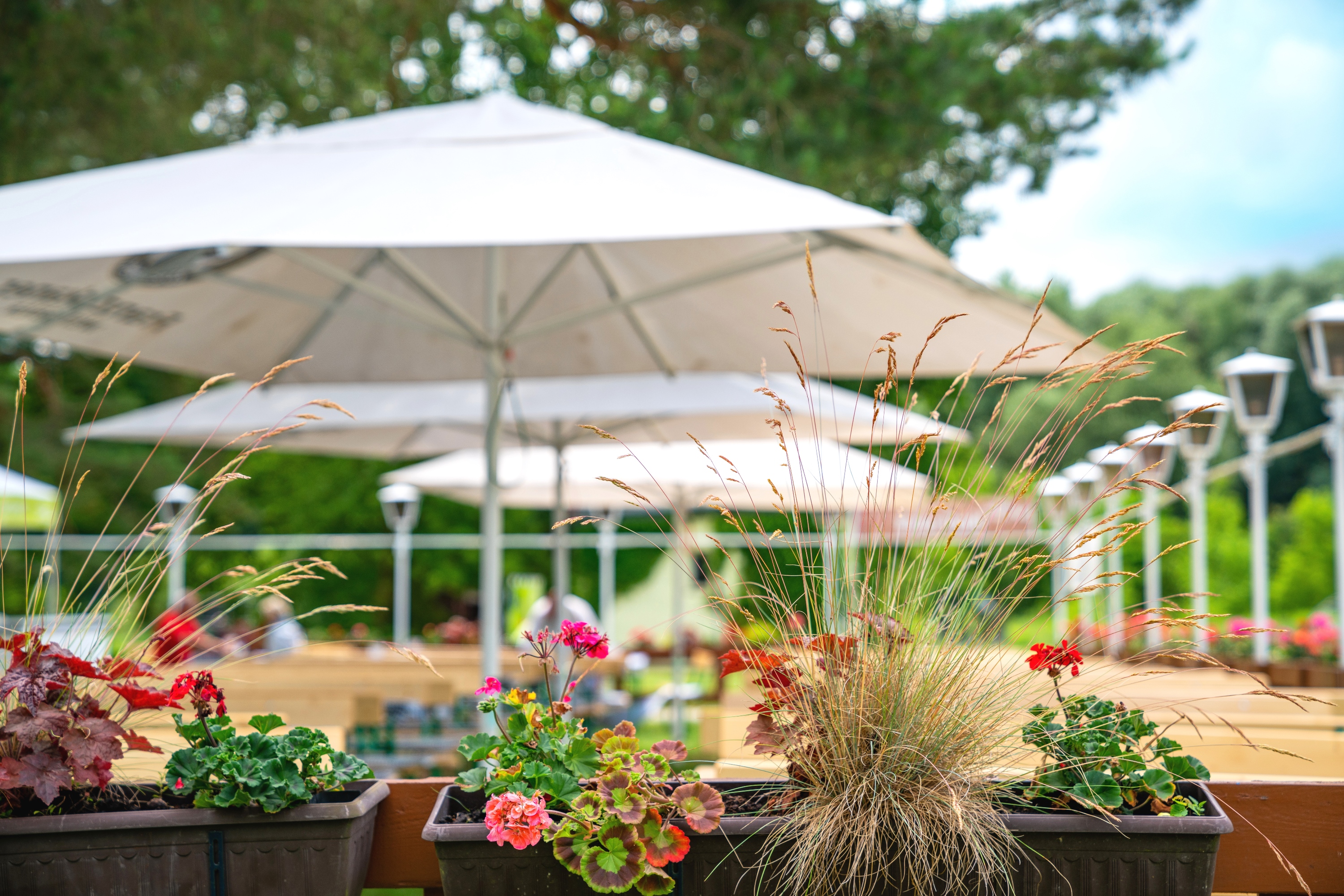 Biergarten, AHORN Seehotel Templin.