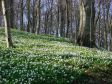 Vorpommern-Rügen