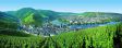 Bernkastel-Wittlich