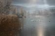 Kochel am See