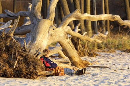 Schlemmen, Staunen, Sparen: