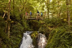 Tal der Wilden Endert zeugt von der Kraft des Wassers in der Eifel