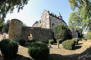 Eine Reise durch den Vogelsberg