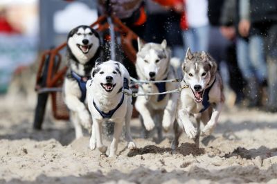 Baltic Lights lockt auf die Insel Usedom