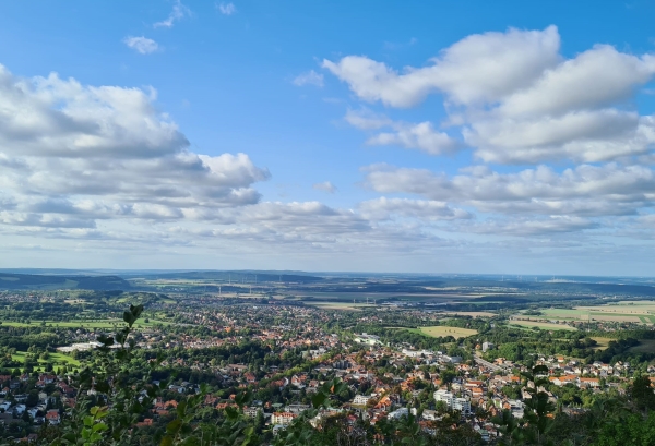 Natur mit allen Sinnen erleben