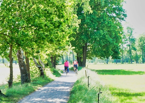 Pappelallee nach historischem Vorbild
