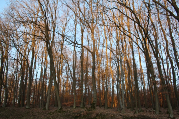 Schnüren Sie die Wanderstiefel und packen Sie Ihren Rucksack!