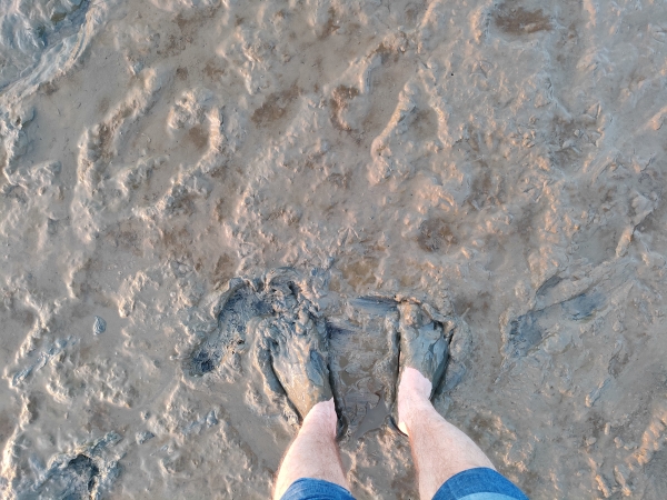 Küstenheide Duhnen-