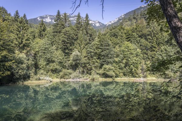 Bergwaldbaden in der Alpenstadt