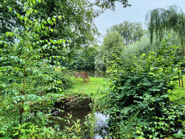 Heilkräuter und Botanik