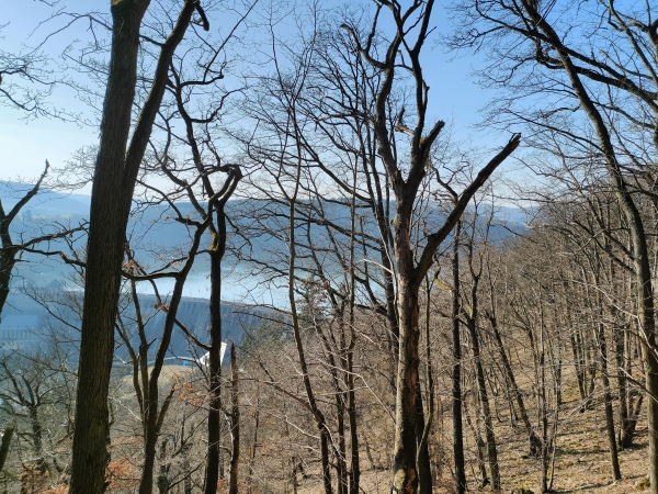 Vorzeigeprojekt am Wüstegartenberg