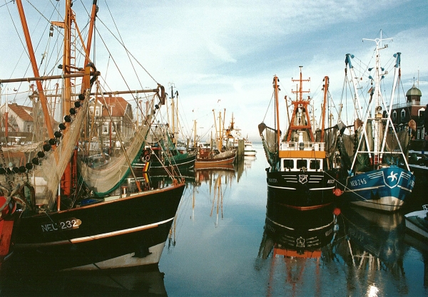 Der Schatz aus dem Watt heilt..