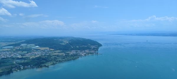 Blütenmeer am Bodensee