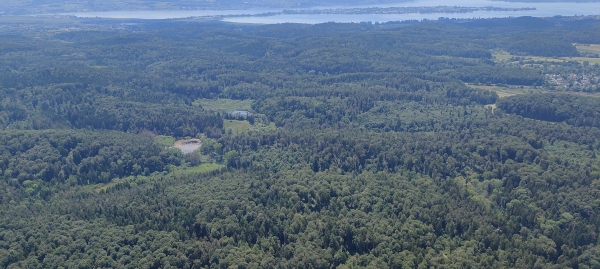 Der Natur auf der Spur am Untersee