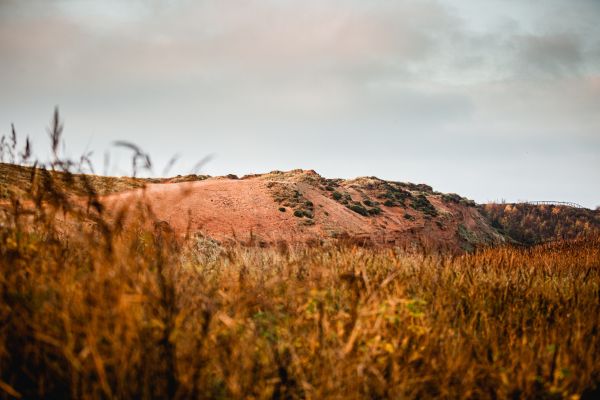 Frischer Wind auf Sylt