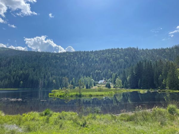 Wanderparadies - Bayerischer Wald