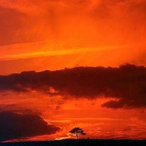 Der Untersee schickt Gäste auf Schatzsuche