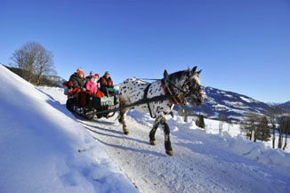 Winterfreuden unter Freunden