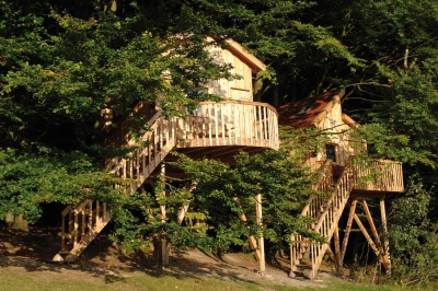 Schlafen zwischen den Baumwipfeln