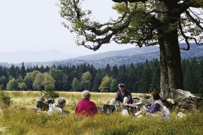 Urlaub für die Sommerferien buchen -