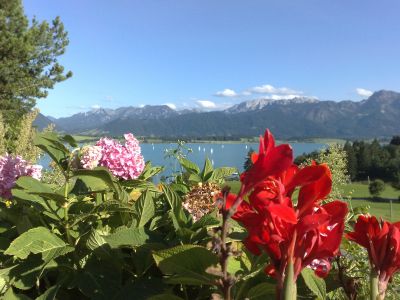 Spezial-Tagesreisen mit dem Bus