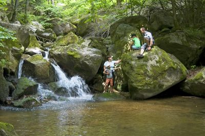 Rundum-Sorglos-Arrangements zum Frühling in der Eifel:
