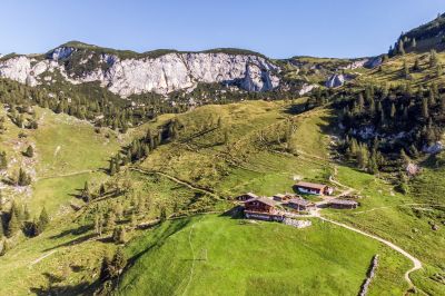 Wandern wie die Gämsen: