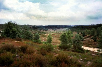 Naturpark Schwalm-Nette