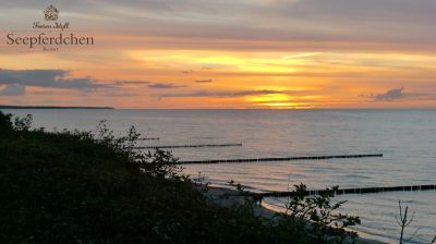 Komet Panstarrs über dem Ostseebad Nienhagen