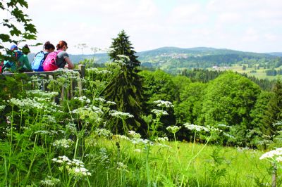 Grenzenloser Goldsteig