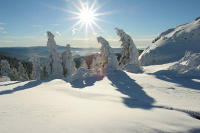 Winter im Bayerischen Wald:
