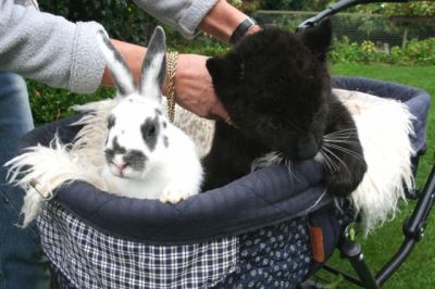 Nur noch wenige gemeinsame Tage