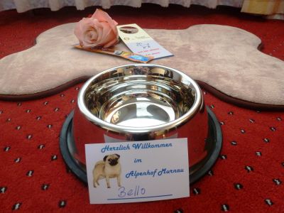 Full Service für den anspruchsvollen Bello: