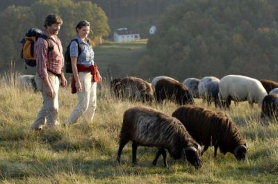 Tropfsteinhöhlen und Wacholderheiden