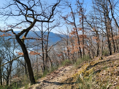 Wo es in Deutschland am schönsten ist