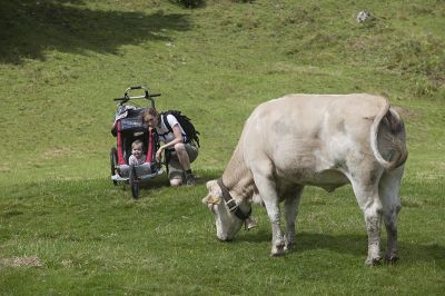 Mit dem Kinderwagen auf die Alm