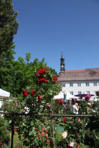 Ausflugstipp zu Pfingsten: Die Tölzer Rosen- und Gartentage