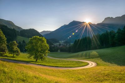 Wohlwollen ins Leben lassen