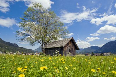 Naturschönheiten in Tirol