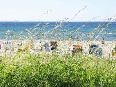 Aktionsstrand des Ostsee Resorts Damp