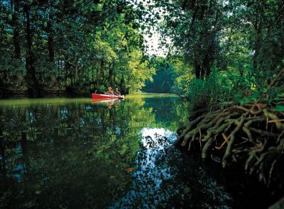 25. Peenefest der Hansestadt Demmin