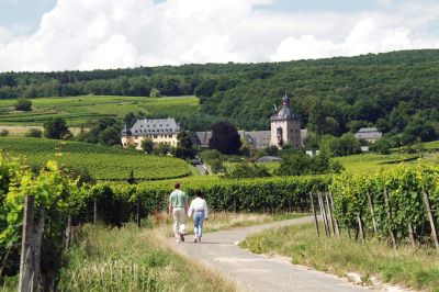 Auf Schusters Rappen rund um Schloss Vollrads im Rheingau