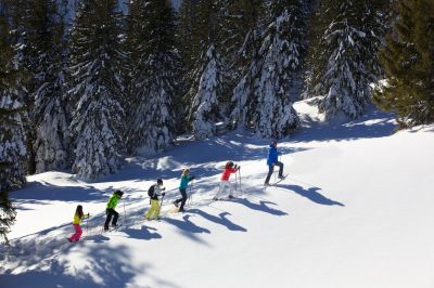 Neu im Allgäu: