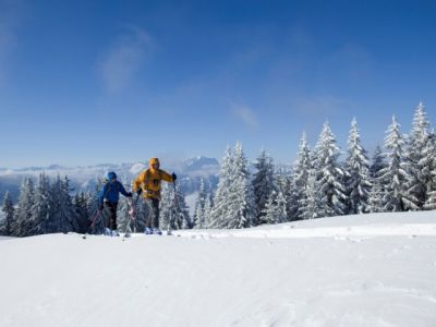 Vom Skitourenrennen am Hörnle bis zum Paraski am Steckenberg