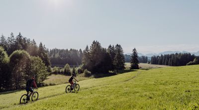 Jeden Tag auf Tiersafari in den Allgäuer Alpen