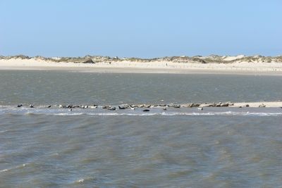 Deutscher Tourismustag auf Norderney