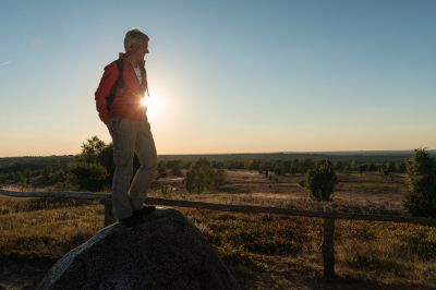 Niedersachsen: Mystische Wacholder im Mondschein