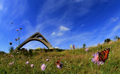 Von Wandern bis Yoga: