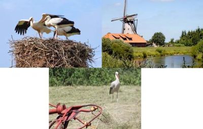 Per Fahrrad von Nest zu Nest