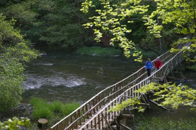 Zwischen Flussbetten und Küstenwäldern